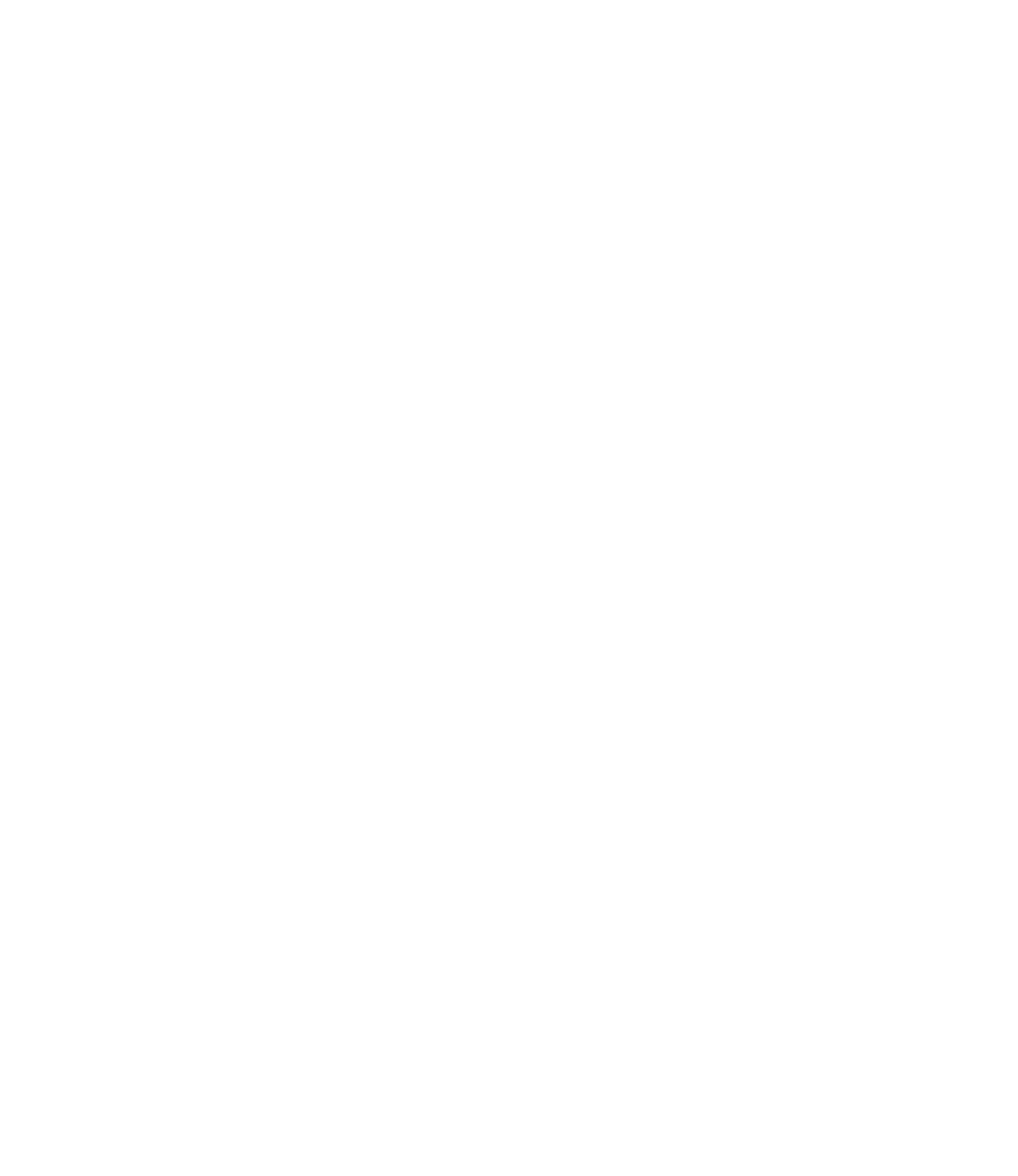 A jet-white Icon of a shopping bag.