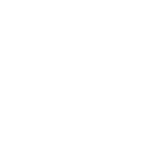 translation icon